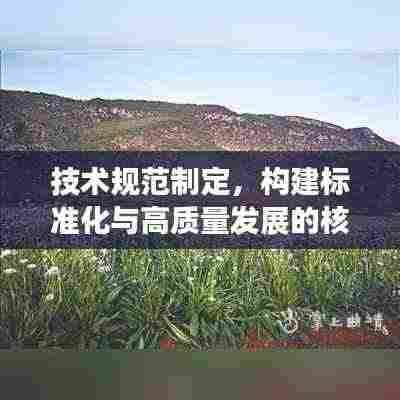 技术规范制定，构建标准化与高质量发展的核心路径