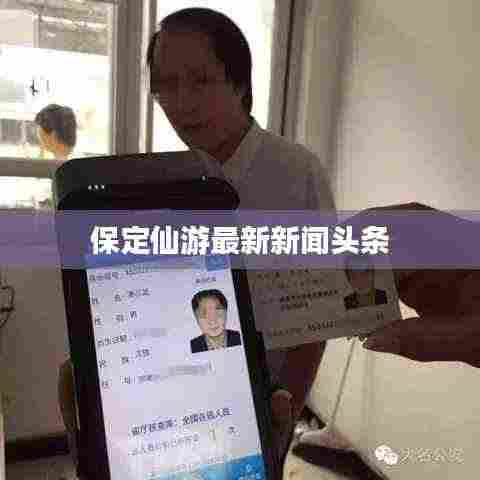 保定仙游最新新闻头条