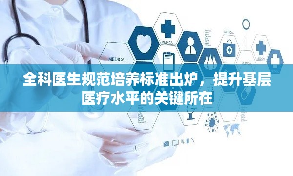 富贵不淫 第3页