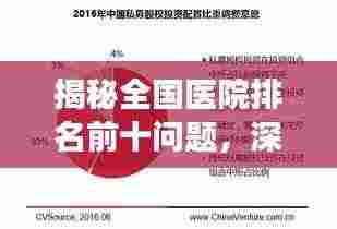 揭秘全国医院排名前十问题，深度剖析寻求改进之道！