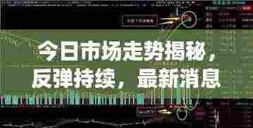 今日市场走势揭秘，反弹持续，最新消息全掌握