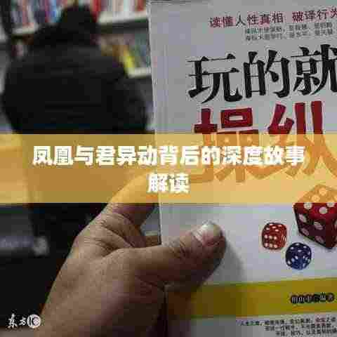 凤凰与君异动背后的深度故事解读