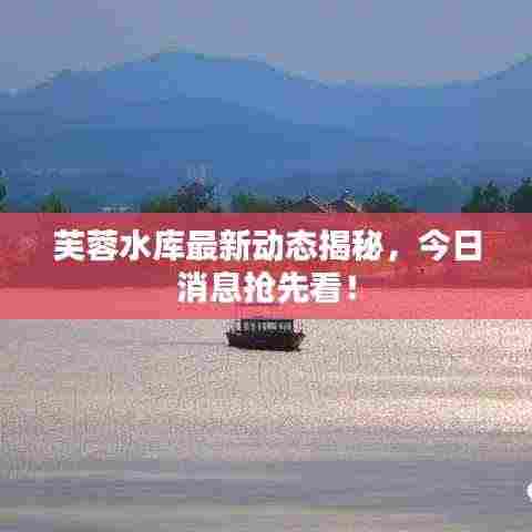 芙蓉水库最新动态揭秘，今日消息抢先看！