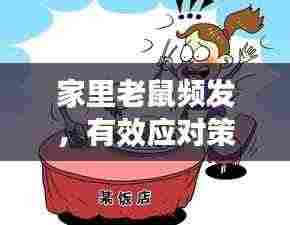 家里老鼠频发，有效应对策略来解困