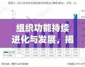 组织功能持续进化与发展，揭秘未来趋势