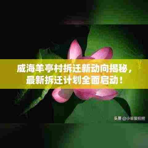 司空见惯 第3页