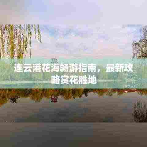 连云港花海畅游指南，最新攻略赏花胜地