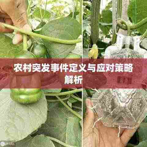 农村突发事件定义与应对策略解析