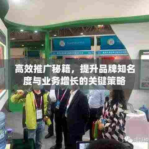 高效推广秘籍,提升品牌知名度与业务增长的关键策略