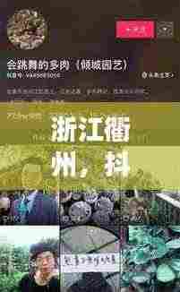 浙江衢州，抖音与百度的跨界融合之旅