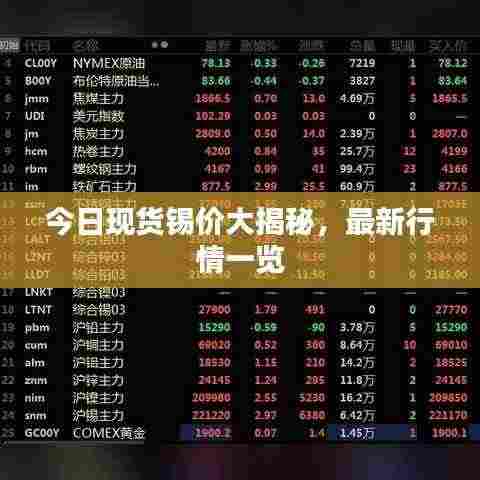 今日现货锡价大揭秘，最新行情一览