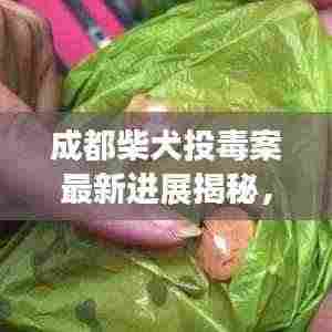 成都柴犬投毒案最新进展揭秘，案件消息更新