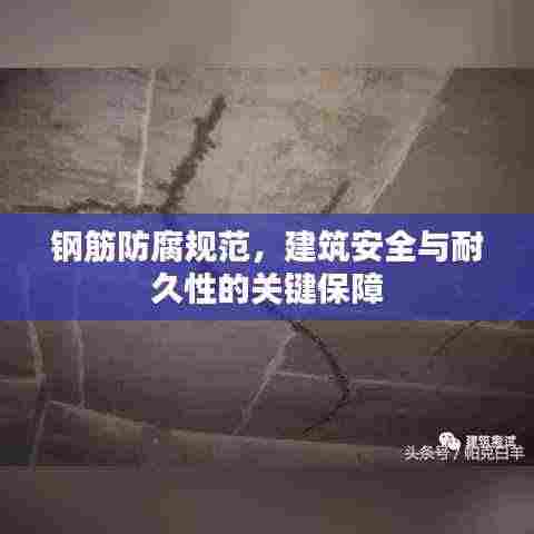钢筋防腐规范，建筑安全与耐久性的关键保障