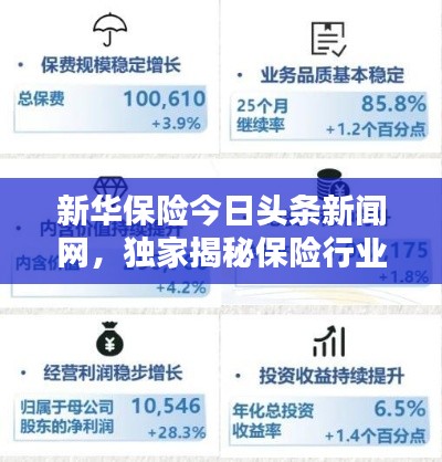 新华保险今日头条新闻网，独家揭秘保险行业最新动态与趋势