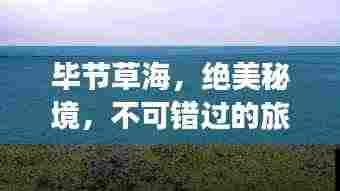 虎背熊腰 第3页