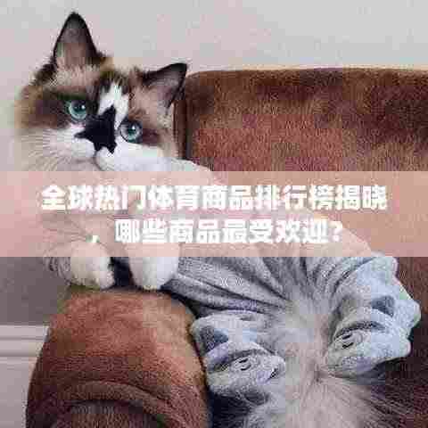 全球热门体育商品排行榜揭晓，哪些商品最受欢迎？