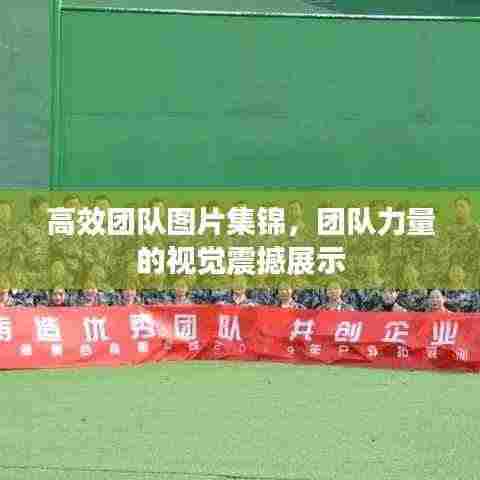 高效团队图片集锦，团队力量的视觉震撼展示