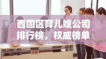 西固区育儿嫂公司排行榜，权威榜单揭晓！