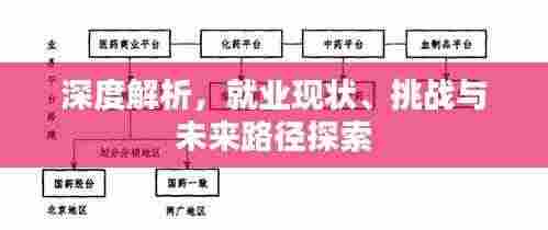 深度解析，就业现状、挑战与未来路径探索