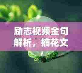 励志视频金句解析，摘花文案唤醒生命之光