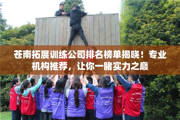 苍南拓展训练公司排名榜单揭晓！专业机构推荐，让你一睹实力之巅