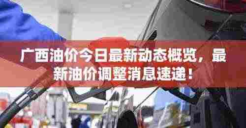 广西油价今日最新动态概览，最新油价调整消息速递！