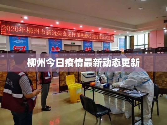 柳州今日疫情最新动态更新