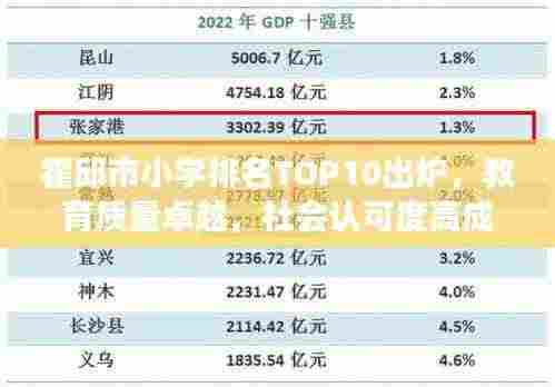 霍邱市小学排名TOP10出炉，教育质量卓越，社会认可度高成果展示
