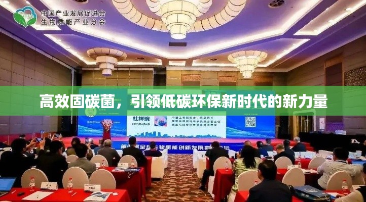 高效固碳菌，引领低碳环保新时代的新力量