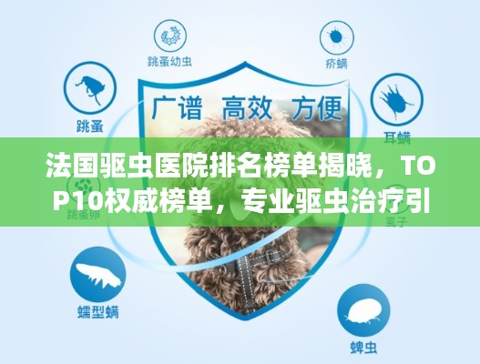 法国驱虫医院排名榜单揭晓，TOP10权威榜单，专业驱虫治疗引领健康新生活！