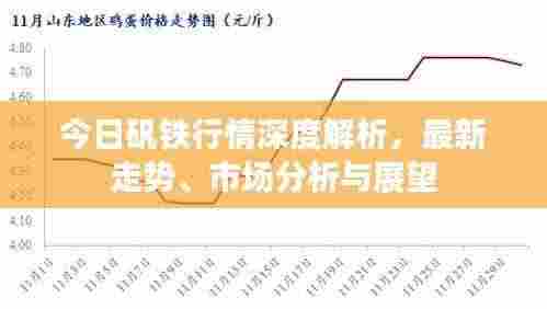 今日矾铁行情深度解析，最新走势、市场分析与展望