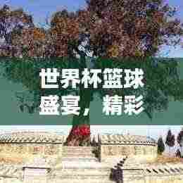 世界杯篮球盛宴，精彩瞬间一网打尽！