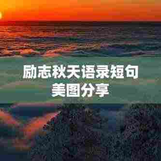 百鸟朝凤 第3页