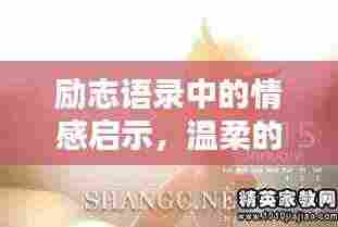 励志语录中的情感启示，温柔的力量不可小觑