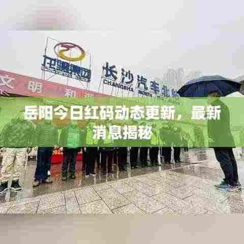岳阳今日红码动态更新，最新消息揭秘