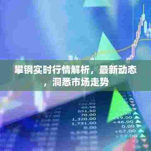 攀钢实时行情解析，最新动态，洞悉市场走势