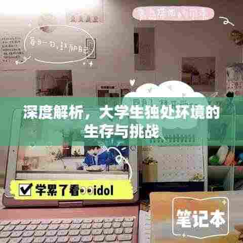 深度解析，大学生独处环境的生存与挑战