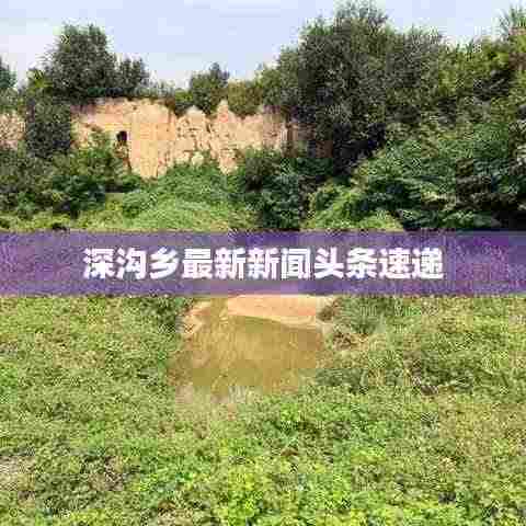 深沟乡最新新闻头条速递