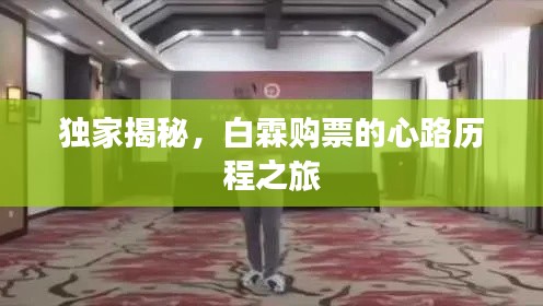 独家揭秘，白霖购票的心路历程之旅
