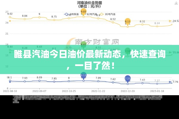 睢县汽油今日油价最新动态，快速查询，一目了然！