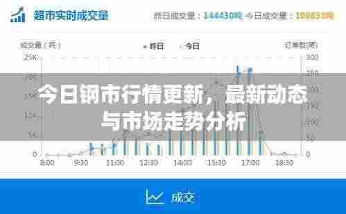 今日钢市行情更新，最新动态与市场走势分析