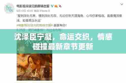 沈泽臣宁凝，命运交织，情感碰撞最新章节更新