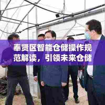 奉贤区智能仓储操作规范解读，引领未来仓储管理新标准