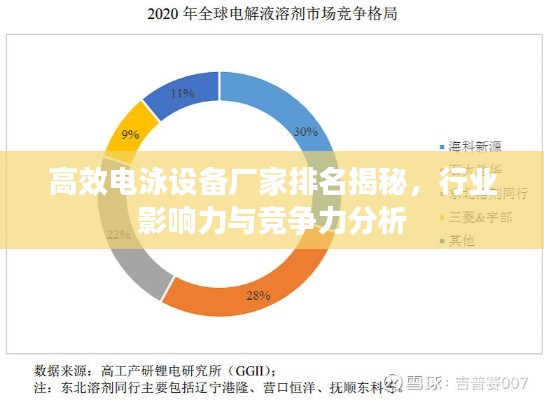 高效电泳设备厂家排名揭秘，行业影响力与竞争力分析
