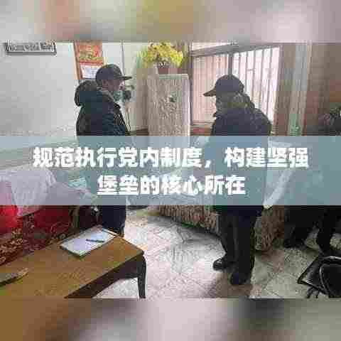 规范执行党内制度，构建坚强堡垒的核心所在