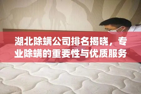 湖北除螨公司排名揭晓，专业除螨的重要性与优质服务商一览