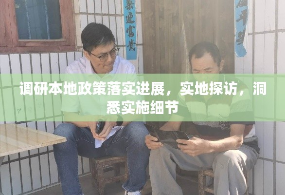 调研本地政策落实进展，实地探访，洞悉实施细节