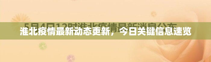 淮北疫情最新动态更新，今日关键信息速览