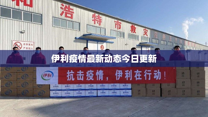 伊利疫情最新动态今日更新