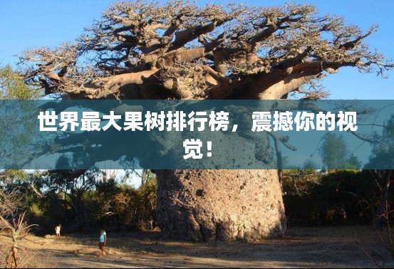 世界最大果树排行榜，震撼你的视觉！